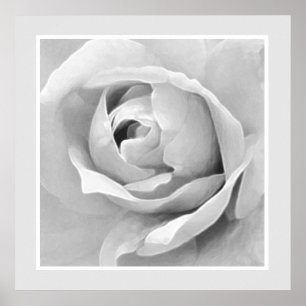 Ethereal Rose Bud Frame Poster