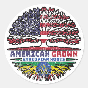 Ethiopia Ethiopian US American USA United States Classic Round Sticker