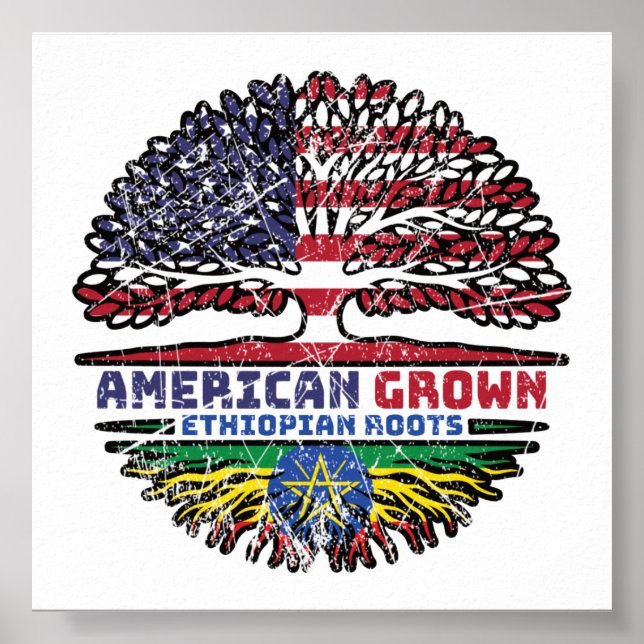 Ethiopia Ethiopian US American USA United States Poster (Front)