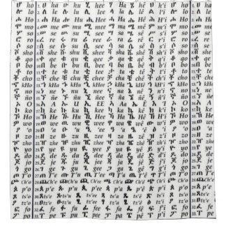 Ethiopian Amharic Alphabet Ge'ez Fidel Poster Shower Curtain