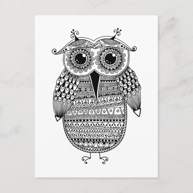 Ethnic Owl Ink Drawing Postcard (Front)