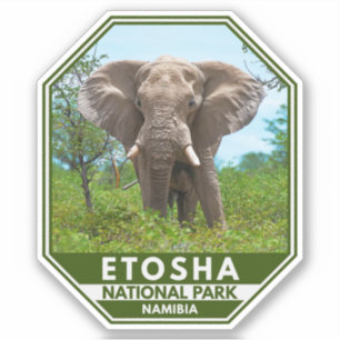 Etosha National Park Namibia Elephant Watercolor