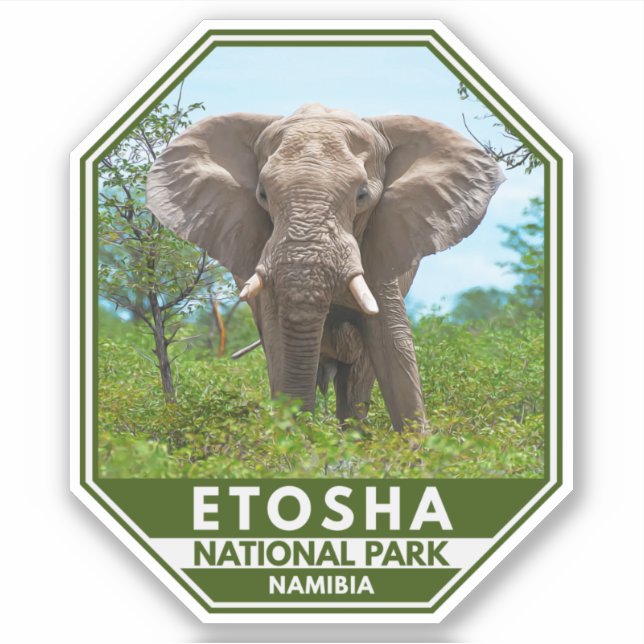 Etosha National Park Namibia Elephant Watercolor (Front)