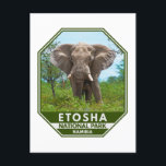 Etosha National Park Namibia Elephant Watercolor Postcard<br><div class="desc">Etosha National Park watercolor design. The park is in northwestern Namibia and one of the largest national parks in Africa.</div>