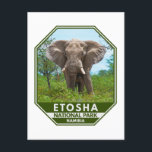 Etosha National Park Namibia Elephant Watercolor Postcard<br><div class="desc">Etosha National Park watercolor design. The park is in northwestern Namibia and one of the largest national parks in Africa.</div>