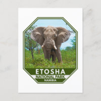Etosha National Park Namibia Elephant Watercolor