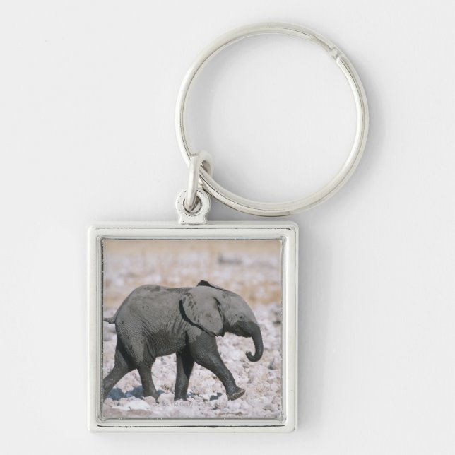 Etosha National Park, Namibia Key Ring (Front)