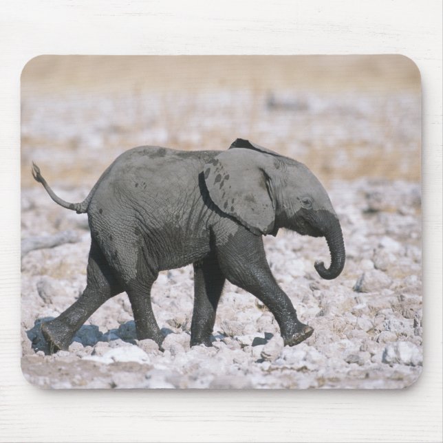 Etosha National Park, Namibia Mouse Mat (Front)