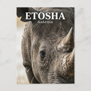 Etosha National Park Namibia Postcard