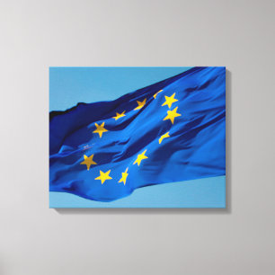 EU flag Canvas Print