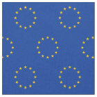 EU flag