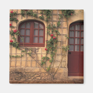 EU, France, Loire Valley, Indre, et, Loire, Magnet