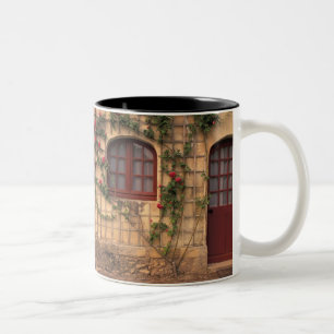 EU, France, Loire Valley, Indre, et, Loire, Two-Tone Coffee Mug
