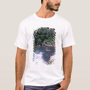 EU, France, Provence, Frontaine de Vaucluse T-Shirt