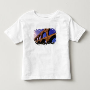 EU, France, Provence, Gard, Pont du Gard. 3 Toddler T-Shirt