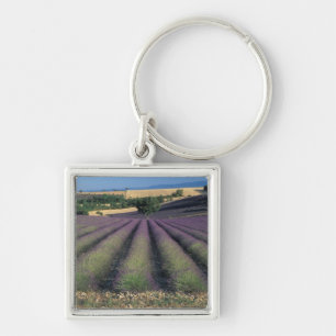 EU, France, Provence, Lavender fields 2 Key Ring