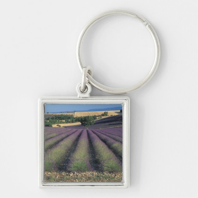 EU, France, Provence, Lavender fields 2 Key Ring (Front)