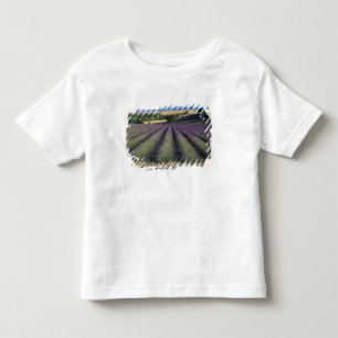 EU, France, Provence, Lavender fields 2 Toddler T-Shirt
