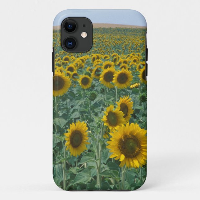 EU, France, Provence, Sunflower field Case-Mate iPhone Case (Back)