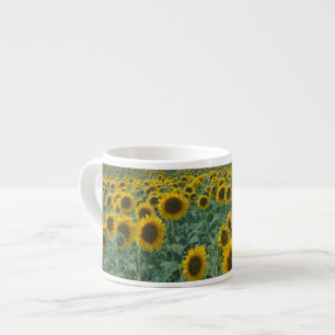 EU, France, Provence, Sunflower field Espresso Cup
