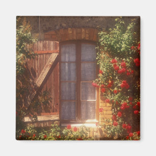 EU, France, Provence, Vaucluse, Apt. House 2 Magnet