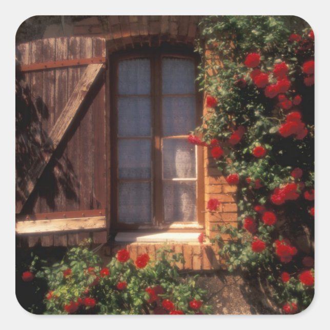 EU, France, Provence, Vaucluse, Apt. House Square Sticker (Front)