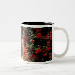 EU, France, Provence, Vaucluse, Apt. House Two-Tone Coffee Mug
