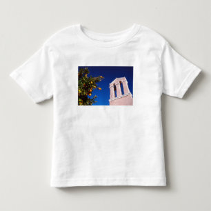 EU, Greece. Greek Orthodox church Toddler T-Shirt
