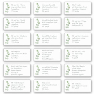 EucaIyptus Individual Recipient Name Address