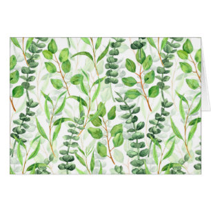 Eucalyptus