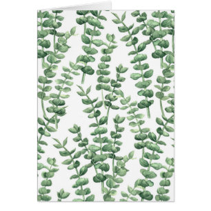 Eucalyptus 1