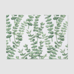 Eucalyptus 1 tissue paper