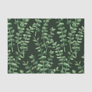 Eucalyptus 2 tissue paper