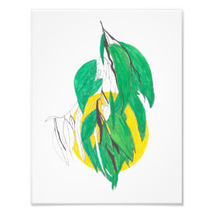Eucalyptus branch Print