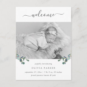 Eucalyptus Crest   Photo Birth Announcement Postcard