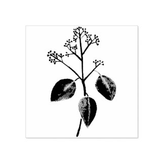 Eucalyptus flower rubber stamp