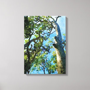 Eucalyptus Forest Canvas Print