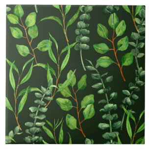 Eucalyptus on dark green tile