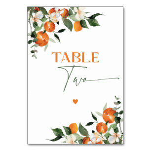 Eucalyptus oranges citrus theme table number Two