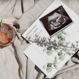 Eucalyptus Pregnancy New Mum Baby Gender Reveal