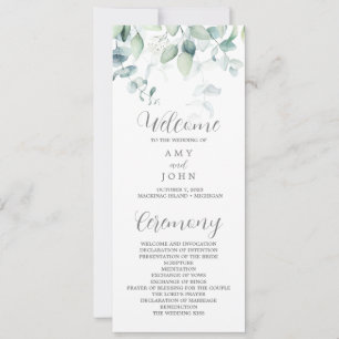 Eucalyptus Program for Amy