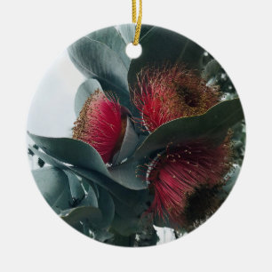 Eucalyptus Rose Mallee Ceramic Tree Decoration