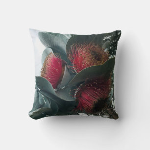 Eucalyptus Rose Mallee Cushion