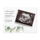 Eucalyptus Sonogram Baby Reveal Pregnancy