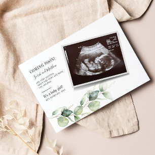 Eucalyptus Sonogram Baby Reveal Pregnancy Announcement Postcard