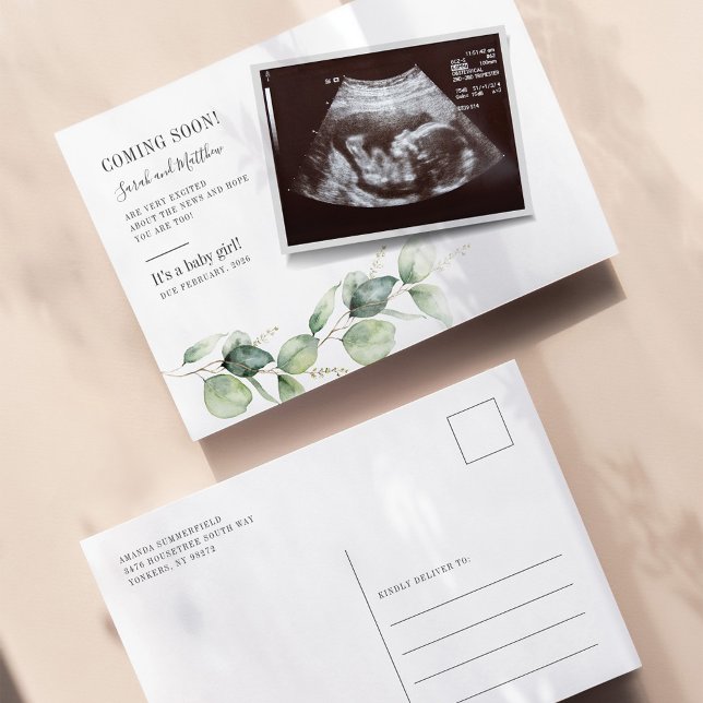 Eucalyptus Succulent Pregnancy Baby Reveal Announcement Postcard (Baby Reveal Sonogram Eucalyptus Pregnancy Announcement)
