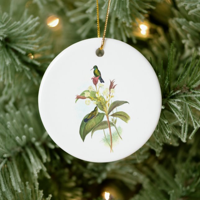 Eucephala caerulea (Blue-chinned Sapphire)   Ceramic Tree Decoration (Tree)