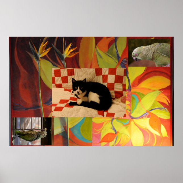 Euclid's Dream Poster (Front)