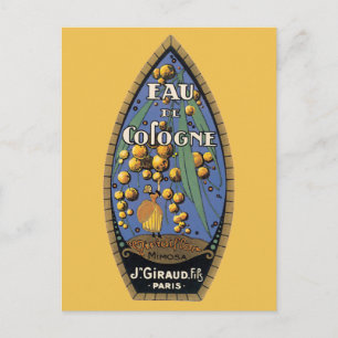 Eud De Cologne Mimosa Postcard