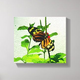 Eueides Isabella Canvas Print